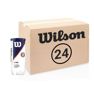 Теннисные мячи Wilson Roland Garros All Court купить